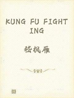 KUNG FU FIGHTING